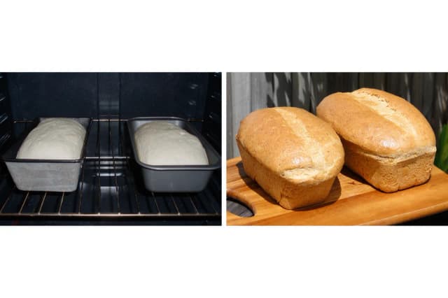 Pieczenie chleba to zjawisko fizyczne i reakcja chemiczna – co musisz wiedzieć Pieczenie chleba to zjawisko fizyczne i reakcja chemiczna – co musisz wiedzieć